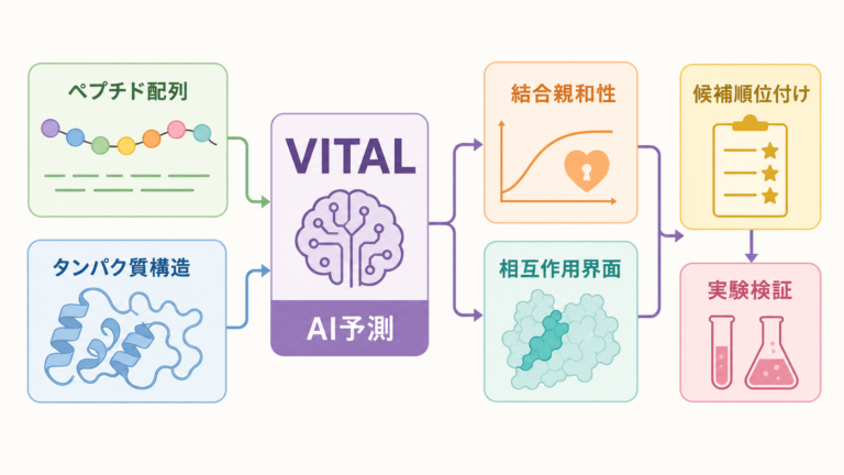 VITALによるペプチドとタンパク質の結合予測を示す図解